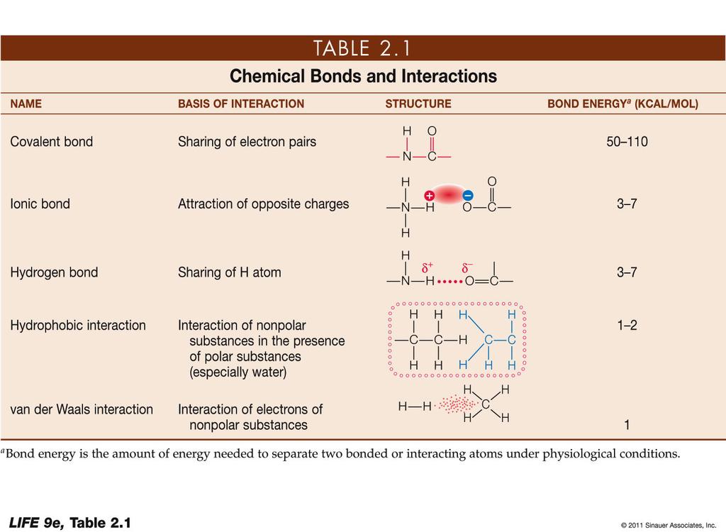 3.4 What Are the Chemical Structures and Functions of Lipids? Lipids are nonpolar hydrocarbons.