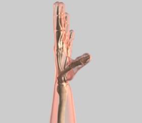 Unit 3: Biomechanics of the Hand The thumb performs different movements at three separate joints.