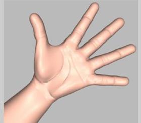 1) The hand s complex anatomy consists of 27 bones 27 joints 34 Muscles Over 100