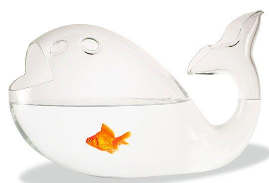 Finding the Patients: Fish Where the Fish Are Insurance claims can locate patients with these: 1.