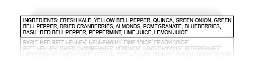 PACKAGE ELEMENTS: A DISCUSSION Nutrition Facts Label This can be placed on either the PDP or the Information Panel. This component will be covered in depth in its own section later in this ebook.