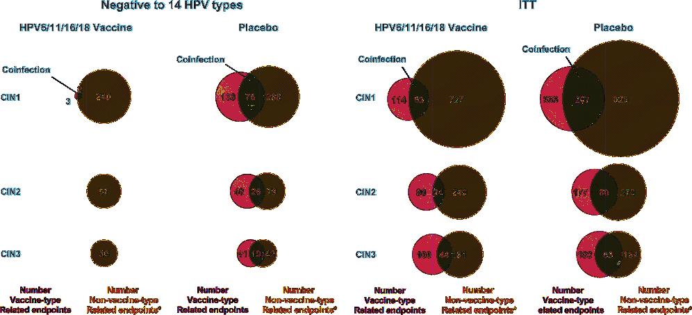 Figure 5. Illustration of vaccine-type and nonvaccine human papillomavirus (HPV) type coinfections among cervical intraepithelial neoplasia (CIN) lesions.