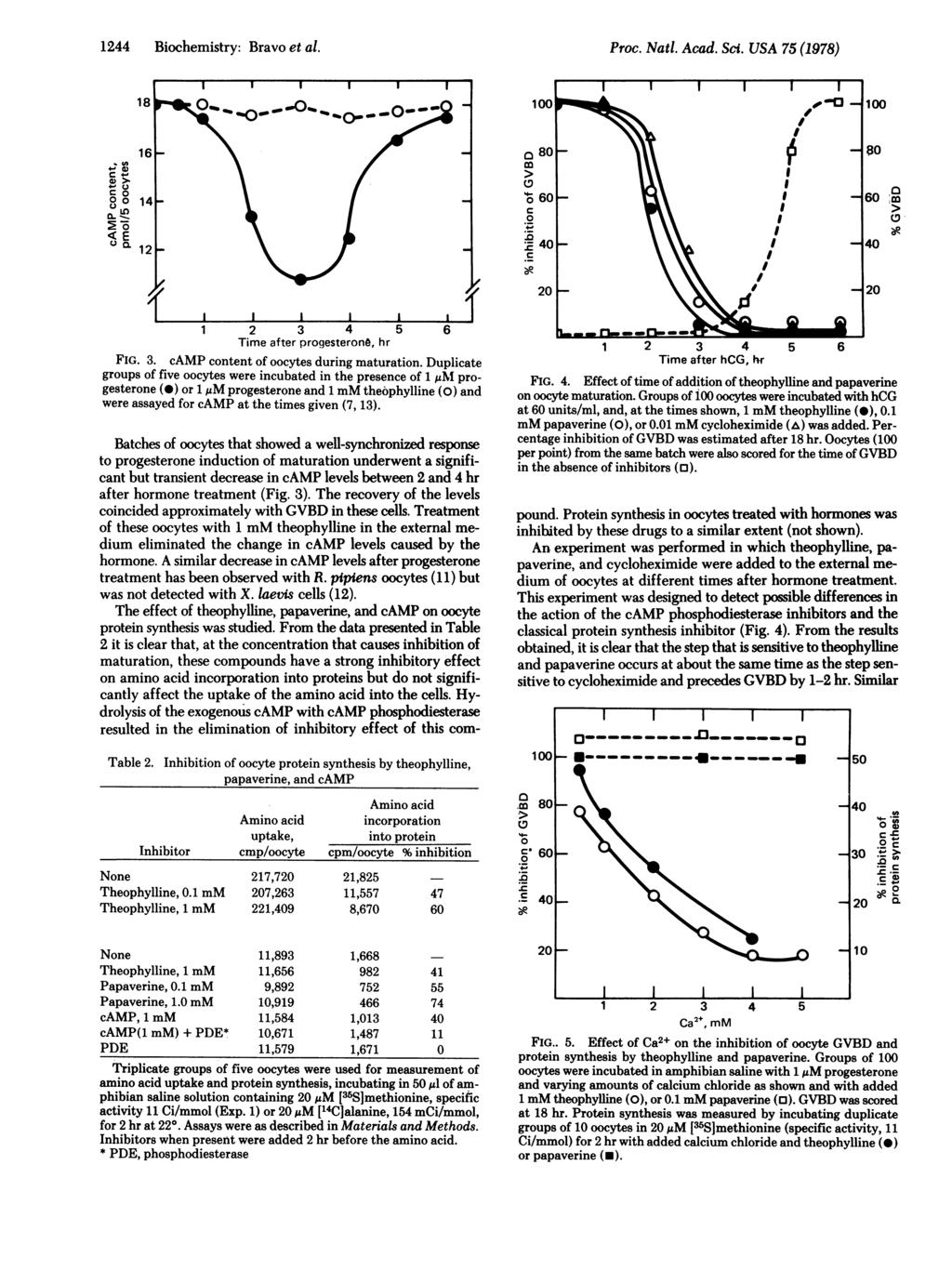 1244 Biochemistry: Bravo et al. Proc. Nati. Acad. Scz. USA 75 (1978) t W 0- a> 0014- CL 12- 'O60 -~ ~ ~ U60 C > =o I 0~~~~~~~~~~~~~~ :E40 - o 40 20 20 1 2 3 4 5 6 Time after progesterono, hr FIG. 3. camp content of oocytes during maturation.