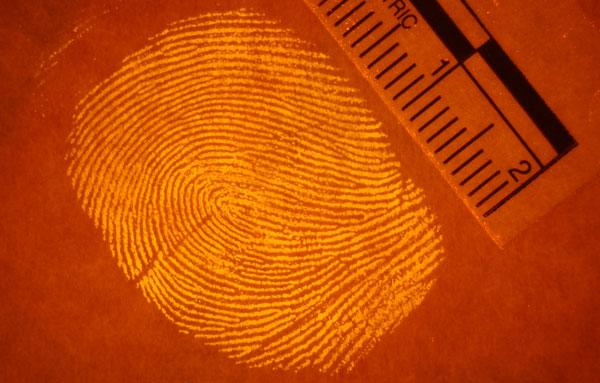However, fingerprint powders can contaminate the evidence and ruin the opportunity to perform other techniques that could turn up a hidden print or additional information.