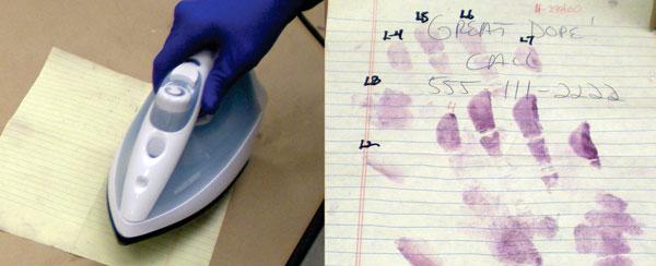 Paper treated with ninhydrin reagent reveals latent prints after being processed with a household steam iron.