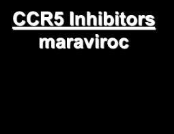 CD4 Cell Membrane CCR5/CXCR4