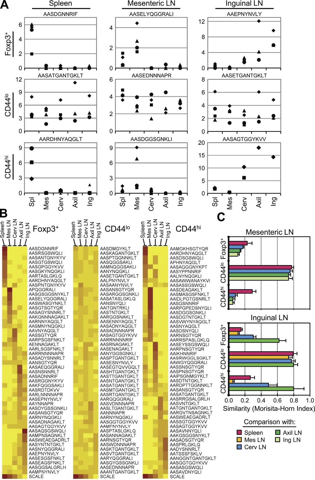 ARTICLE Figure 1. The natural T reg and CD44hi but not naive CD44lo TCR repertoires vary by anatomical location. (A) Analysis of individual TCRs.