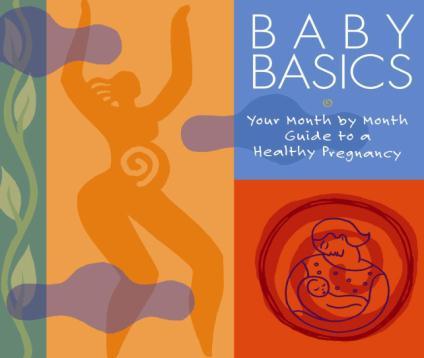 The Baby Basics Brief Implementation Overview The What to Expect Foundation Baby Basics National Program The