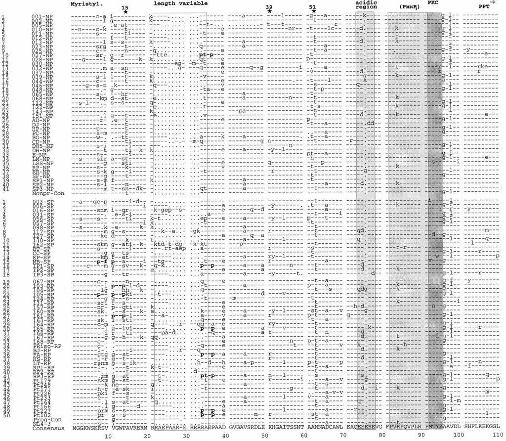 5500 KIRCHHOFF ET AL. J. VIROL. FIG. 1. Alignment of Nef protein sequences derived from HIV-1-infected individuals with different rates of disease progression.