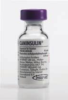 Tips on looking after your insulin Insulin is a very fragile substance. Incorrect storage and handling of insulin may mean that it doesn t have the proper effect when you give it to your cat.