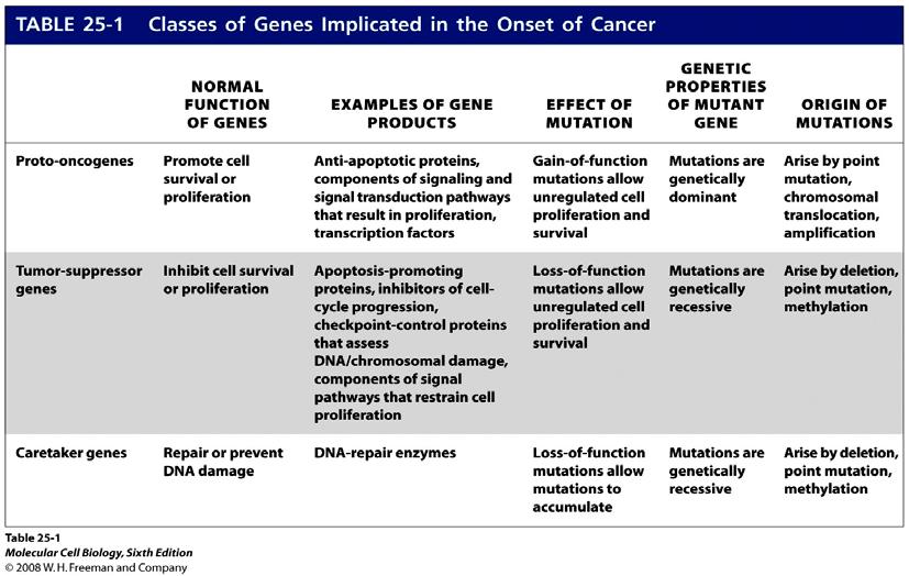 According to this classification INK4 inhibitors are certainly tumor suppressors along with other components that promote their expression