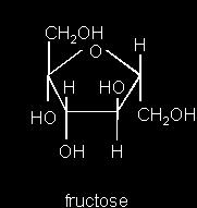 Monosaccharides Some common carbohydrate monomers Fructose Fruit sugar Glucose Produced by