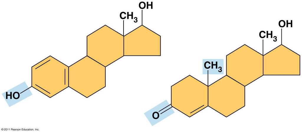 Cholesterol as a chemical precursor