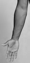 Extension Pronation Supination Anconeus Lateral epicondyle of humerus TO olecranon process on ulna Radial nerve; C7, C8 Asst Biceps