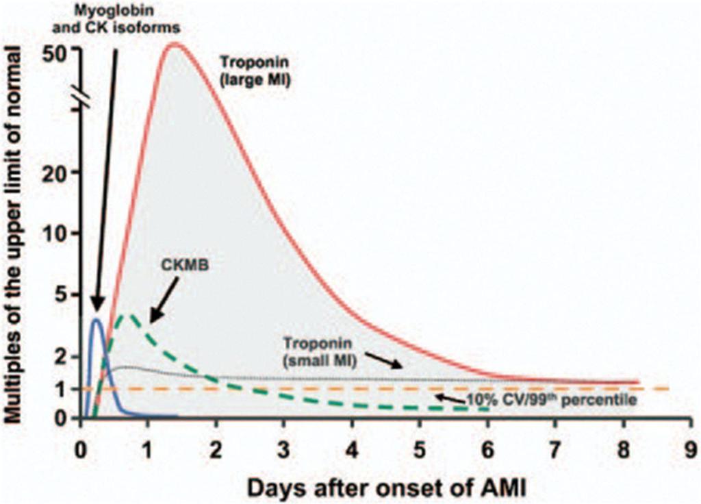 Another reminder -- Troponin level rises within 4hrs of myocardial injury but stays