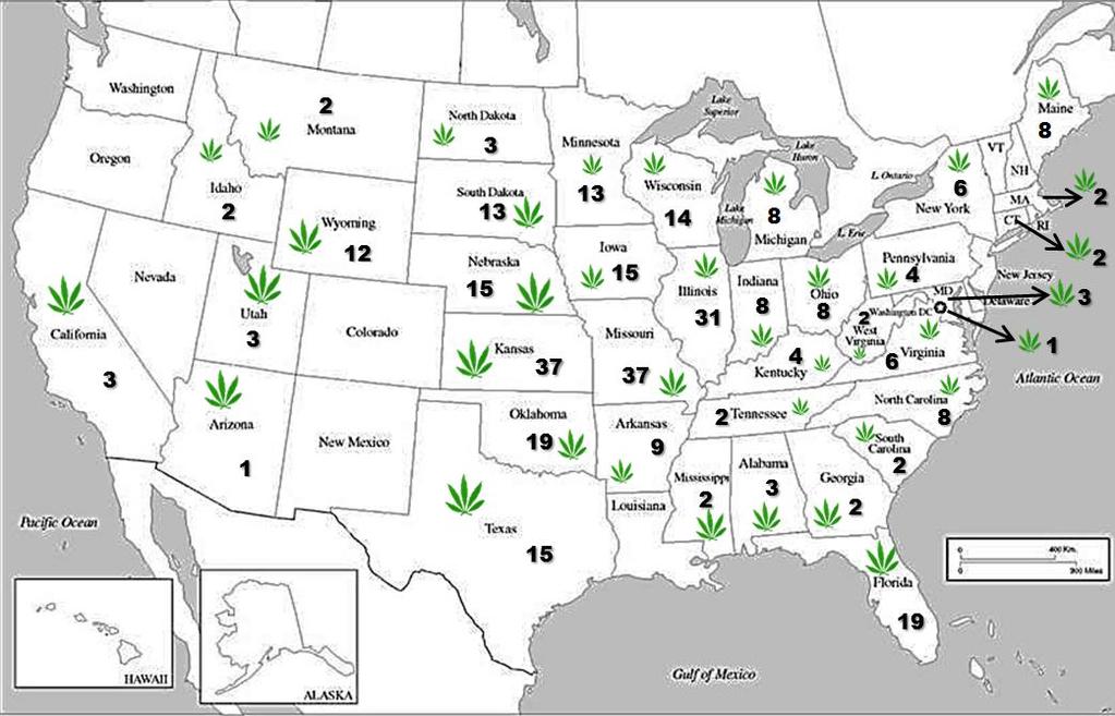 States to Which Colorado Marijuana Was Destined (2014) (Total Reported Incidents per State) El Paso Intelligence Center, National Seizure System, as of March 20, 2015 Top Three Cities of Marijuana