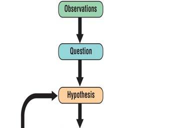 What is hypothesis-driven science?