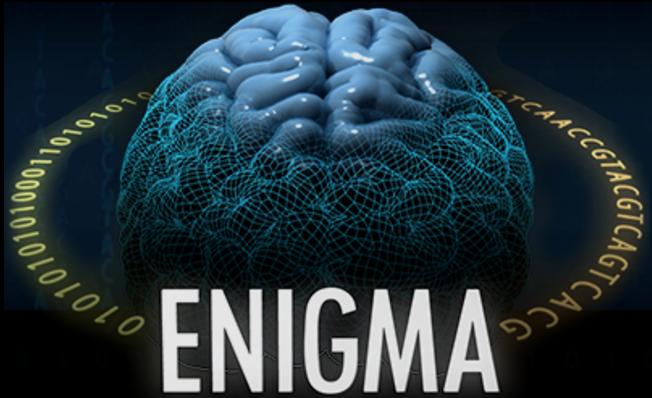 ENIGMA for Neurorehabilitation: A Large-Scale Meta-Analysis Approach to Modeling Neuroimaging, Genetics, and Behavior Sook-Lei Liew, PhD, OTR/L Director, Neural Plasticity and Neurorehabilitation
