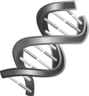 strength Turns out gene'cs doesn t work that way Understanding Genes Genes are blueprints for the crea'on of proteins, the building blocks of