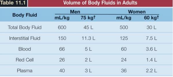 UPDATE ON VOLUME RESUSCITATION HYPOVOLEMIA AND HEMORRHAGE HUMAN CIRCULATORY SYSTEM OPERATES WITH A SMALL VOLUME AND A VERY EFFICIENT VOLUME RESPONSIVE PUMP.