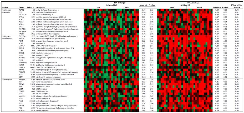 Expression heatmapping of PPAR target genes & inflammatory genes in human PBMCs after MUFA consumption Expression