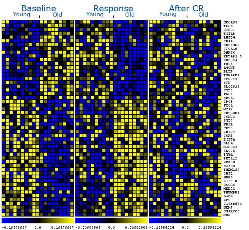 Heatmap ping genes changing in PBMCs from an old