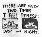 Stress: The
