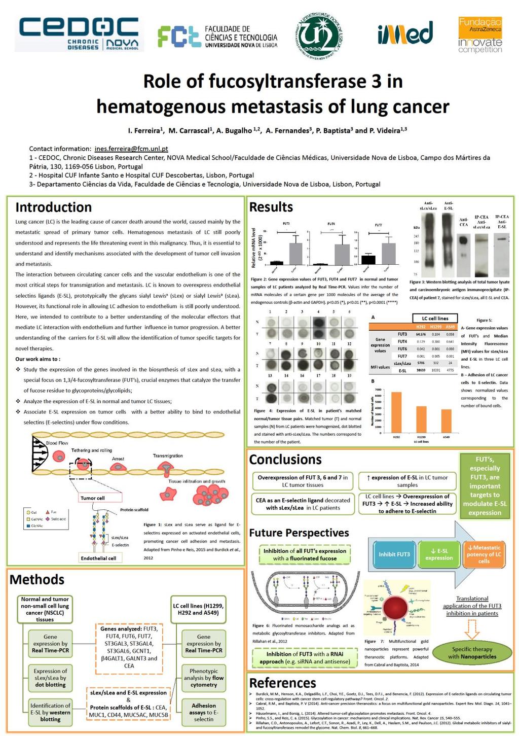 Appendix 6.7 - Poster presented at imed 7.
