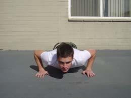 Figure 3: The Down position of the push-up. (2) Push-ups shall be performed on a firm or suitably padded, level surface.