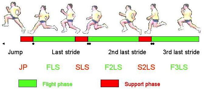 4 Jaitner, Mendoza, and Schöllhorn Figure 2 Support and flight phases of the three last strides of the long jump in relation to the complete performance.