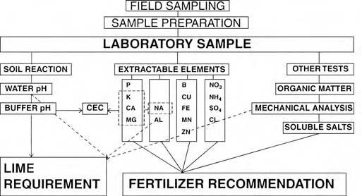338 Agronomic Handbook: Management of Crops, Soils, and Their Fertility Replace crop-removed nutrient elements Counter acidification Maintain proper nutrient element balances for optimum growth TABLE