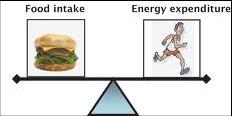 Syllabus Critical Question 3 Big Heading: How can nutrition and recovery strategies affect performance? Undertaking physical activity alters a person s need for energy, nutrients and fluids.