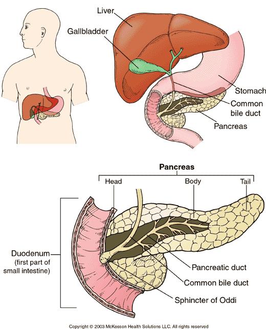 Acute Pancreatitis CLINICAL DIAGNOSIS Abdominal pain Nausea/Vomiting Elevated Pancreatic Enzymes
