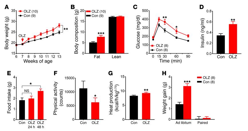 Figure 1. Olanzapine treatment profoundly alters energy homeostasis in female C57BL/6 mice. (A) Body weight. (B) Body composition. (C) GTT. (D) Plasma insulin levels.