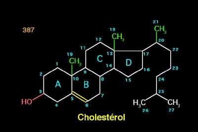 CHOLESTEROL Cell membrane component Steroid hormone precursor
