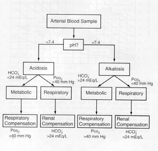 Acid-base Disorders 1. Simple (Primary) Acid-base Disorder: have one primary abnormality Respiratory acidosis Respiratory alkalosis Metabolic acidosis Metabolic alkalosis 2.