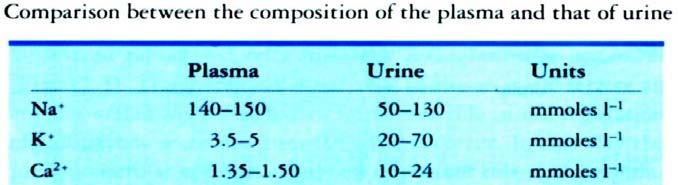 3 Kidney and urine formation 1.