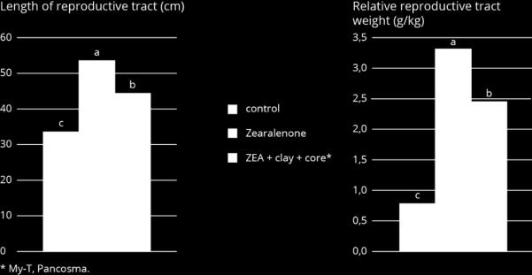 Figure 5 - Clay + core* limits the negative impact of ZEA on the reproductive tract (in vivo model).