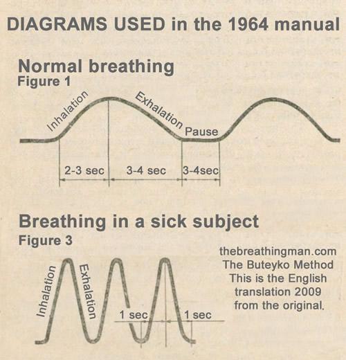 Buteyko Normal Breathing Diagram taken from the Buteyko Breathing Charts Of course they should know about it, he said cautiously, But I m worried they may be so
