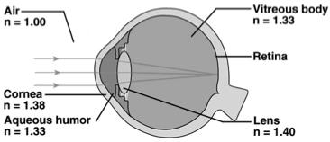 Test for Blind Spot Principle of Refraction Optic disk or blind spot is where optic nerve exits the