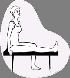 The Workout Legs (continued) Seated Hamstring Stretch Sit sideways on bench or other hard surface (such as two