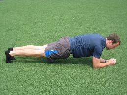 Prone or Front Plank Muscle groups emphasized: erector spinae, rectus abdominis (abs), and transverse