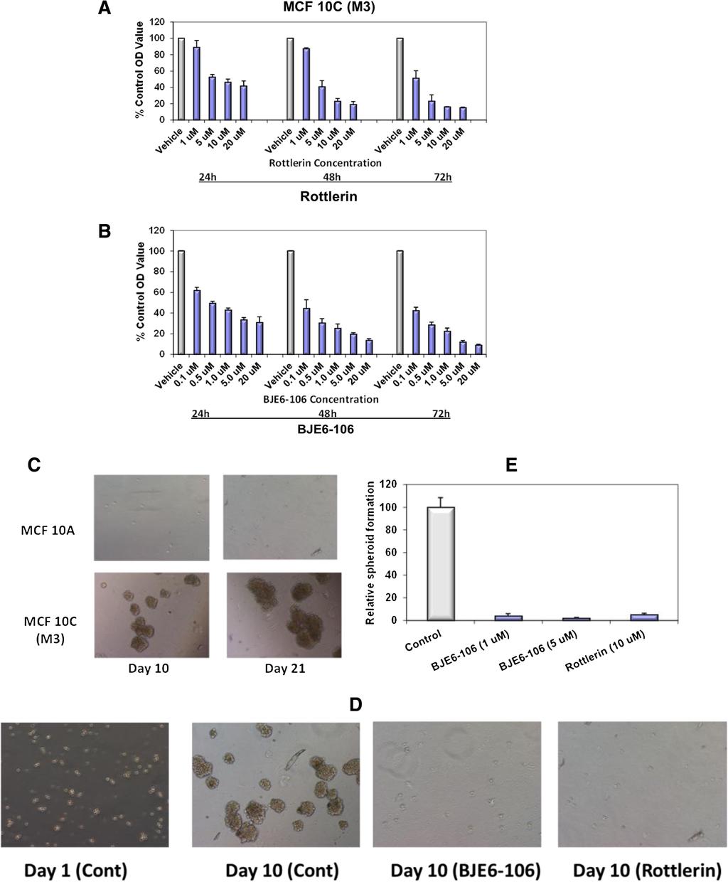 Chen et al. BMC Cancer 2014, 14:90 http://www.biomedcentral.