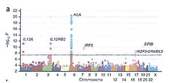 Genome-wide association studies in PBC In the combined Canadian and Italian data, IL12A and IL12RB2 were the strongest non- HLA associations.