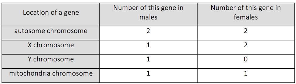 decided at the moment of conception, if the sperm carries a Y chromosome the result is a male and if the sperm carries an X the result is a female. G.