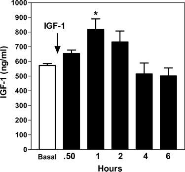 380 Hiney et al. IGF-I Induces KiSS-1 Gene Expression Endocrinology, January 2009, 150(1):376 384 FIG. 3. Effect of systemic administration of IGF-I on KiSS-1 gene expression in the AVPV nucleus.