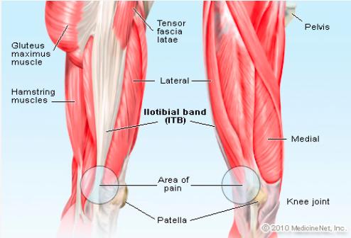 WHAT IS THE ILIOTIBIAL BAND?