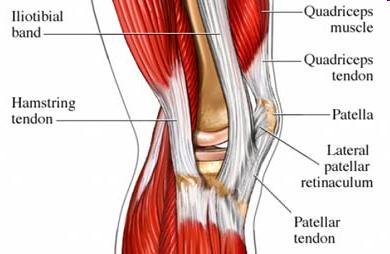 Iliotibial Band: Definition The iliotibial band (ITB) is a dense fibrous band running from the lateral pelvis to the lateral tibial condyle (Gerdy s Tubercle).