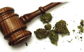 Q: WHY NOT JUST OPT FOR A DECRIMINALIZATION MODEL OVER FULL LEGALIZATION IN CANADA?