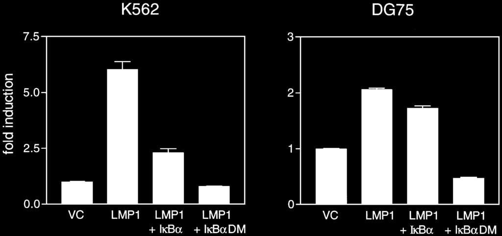 S. Liljeholm and others (a) (b) Fig. 2. Inhibition of LMP1-induced NF-κB activity from p50/p65-responsive IgκB sites (a) and c-rel-responsive κb1 sites (b) by overexpression of IκBα.